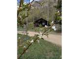 44174 Poudre Canyon Rd - Photo 48