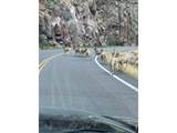 44174 Poudre Canyon Rd - Photo 49
