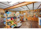 44174 Poudre Canyon Rd - Photo 9
