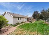 2719 Pampas Dr - Photo 38