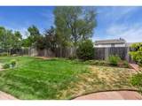 2719 Pampas Dr - Photo 39
