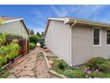 2719 Pampas Dr - Photo 40