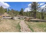 323 Overlook Ln - Photo 44