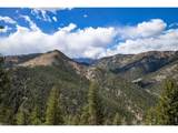 323 Overlook Ln - Photo 48
