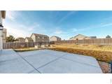 7383 Andover St - Photo 29