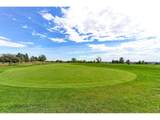 14043 Pinehurst Cir - Photo 49