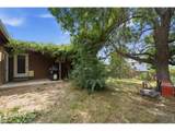 347 Walnut Dr - Photo 29