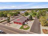 347 Walnut Dr - Photo 39
