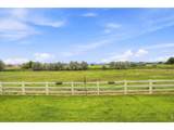 3808 Sprucewood Dr - Photo 35