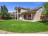 3403 Coneflower Dr - Photo 29