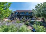 12156 County Road 17 - Photo 2