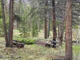13348 Pingree Park Rd - Photo 12