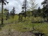 13348 Pingree Park Rd - Photo 18