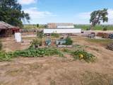 32438 County Road 57 - Photo 6