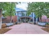 1502 Adonia Cir - Photo 34