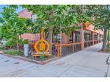 1502 Adonia Cir - Photo 36