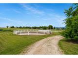 4116 14th St - Photo 46