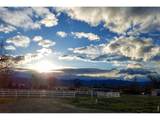 4116 14th St - Photo 47