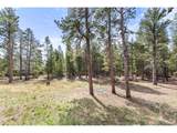 25 Shoshoni Way - Photo 38