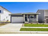 1830 Baltusrol Dr - Photo 22