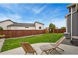 1584 Thundercloud Dr - Photo 38