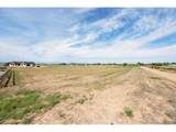 32791 Eagleview Dr - Photo 13