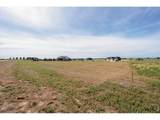 32791 Eagleview Dr - Photo 15