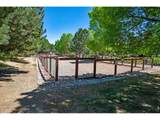 2059 Grays Peak Dr - Photo 30