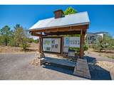 2059 Grays Peak Dr - Photo 33