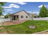 2521 Thoreau Dr - Photo 4