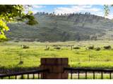 4025 Spruce Dr - Photo 35