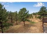 8394 Larkspur Rd - Photo 24