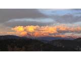 981 Palisade Mountain Dr - Photo 4