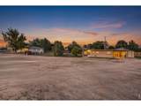 1820 Daffodil Ave - Photo 2