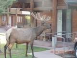 1565 Highway 66 - Photo 7