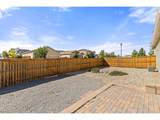 973 Ranchhand Dr - Photo 25