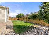 973 Ranchhand Dr - Photo 27