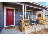 1114 Cottontail Ln - Photo 3