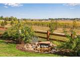2338 Tyrrhenian Cir - Photo 47