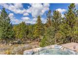 401 Shady Holw - Photo 46