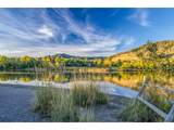 3979 Springleaf Ln - Photo 47