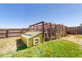 4101 Scilla Pl - Photo 38