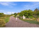 5586 Stone Church Ct - Photo 34