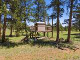 100 Cucharas Mountain Ct - Photo 45