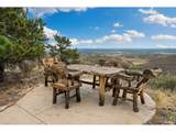 2915 Sedona Hills Dr - Photo 41
