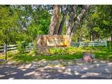 6517 Arbor Dr - Photo 46