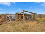 1004 Deer Meadow Way - Photo 27