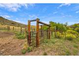 1004 Deer Meadow Way - Photo 43