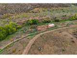 1004 Deer Meadow Way - Photo 46