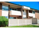 5122 Williams Fork Trl - Photo 1